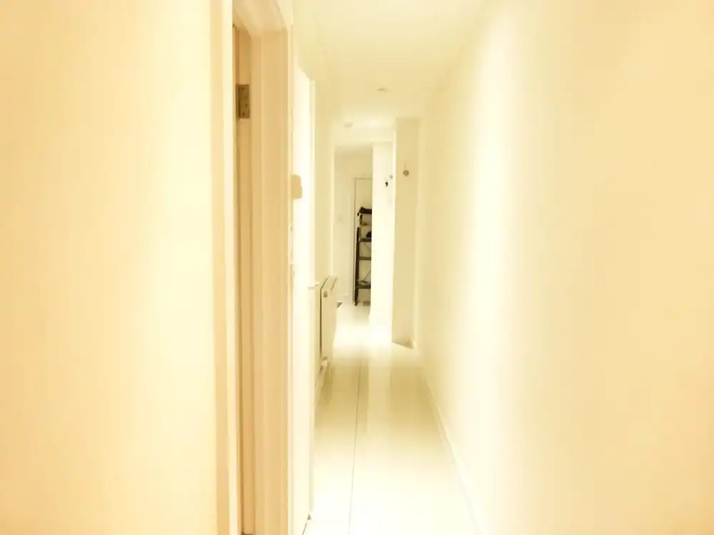 SS Property Hub - Large apartment near Hyde Park