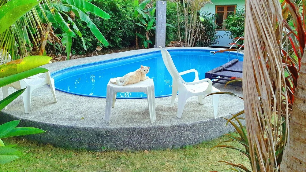 Swiss Chalet Garden, Pool Resort