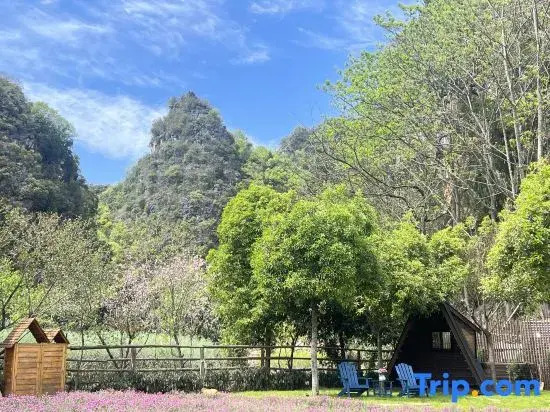 Xingyi Wanfeng Forest Aoki Yaju