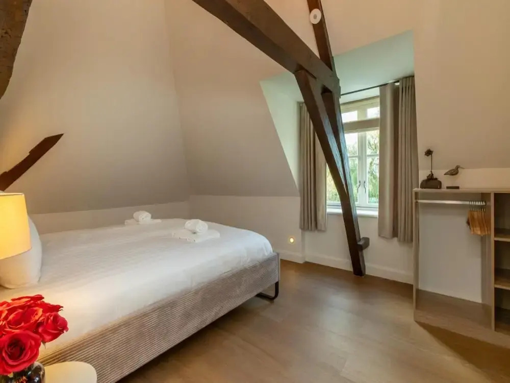 Farmhouse in Zeeland With Windmill Views