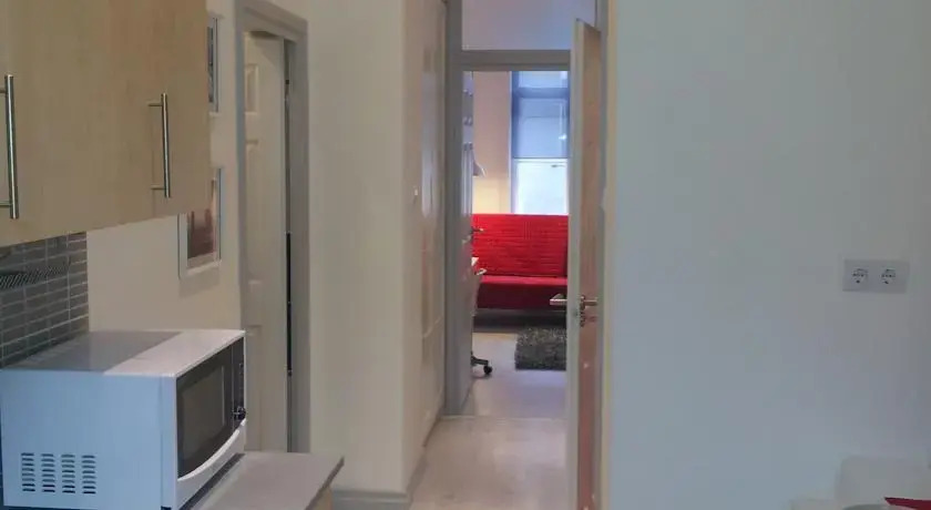 Downtown apartment Szondi