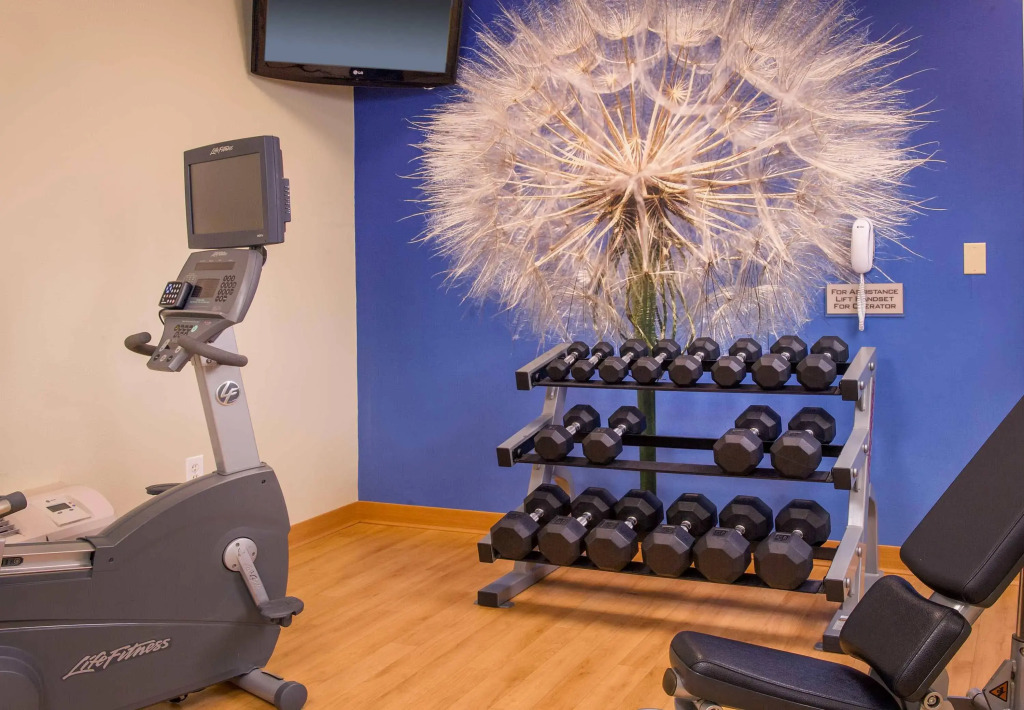 SpringHill Suites Raleigh-Durham Airport/Research Triangle Park