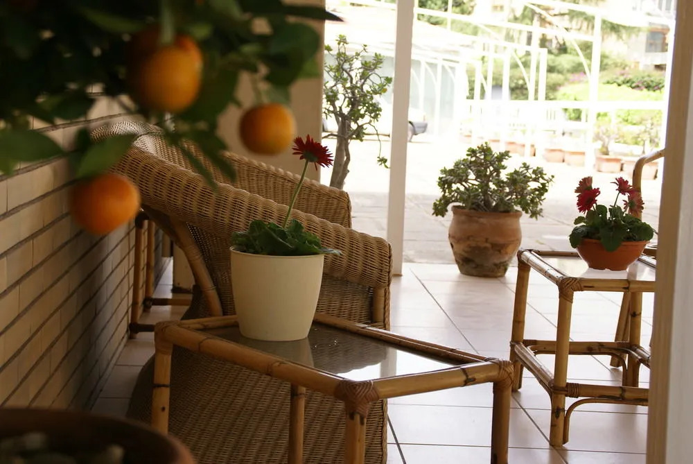 Hotel Rasula Alta