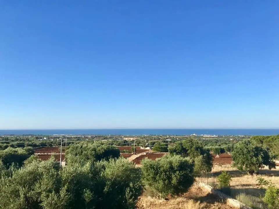 Prospettiva Polignano
