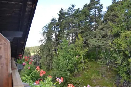 Hotel Gasthof Zum Grünen Baum