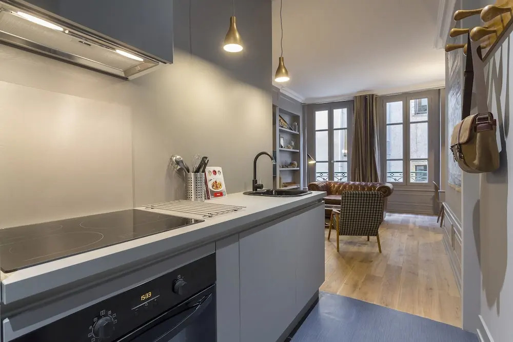 Curiosité - Furnished apartment - Downtown Lyon