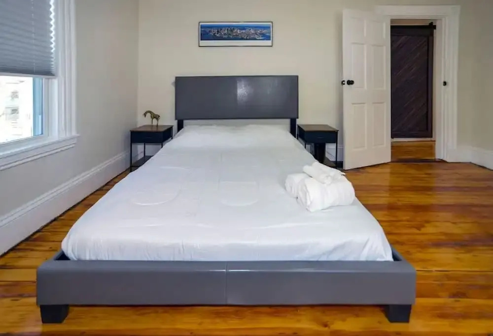 Boston Historical Urban Oasis - 6 Bedroom 3 Bath