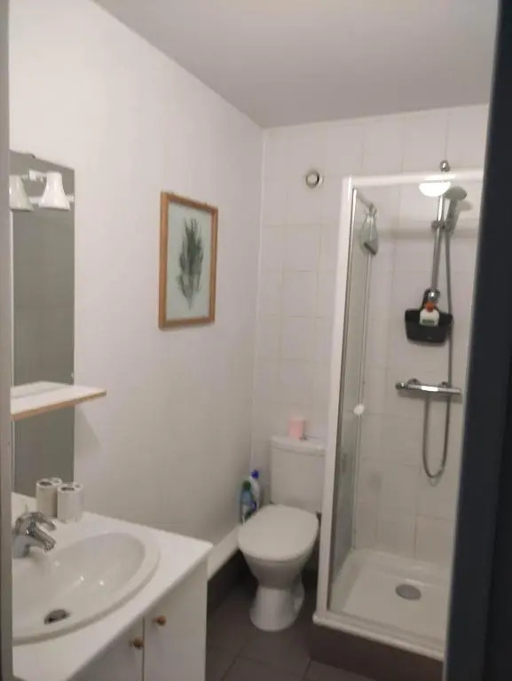 APPARTEMENT NANCY THERMAL/ARTEM/PARC STE MARIE Le 61 LES THERMES