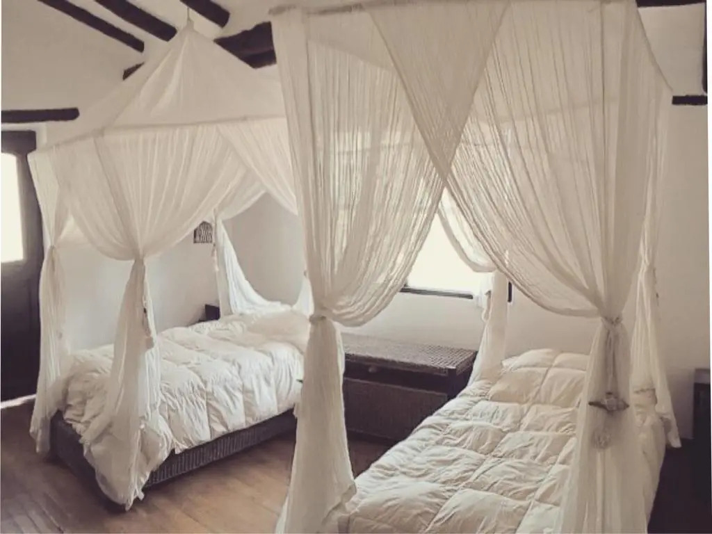 Apus Gaia guesthouse