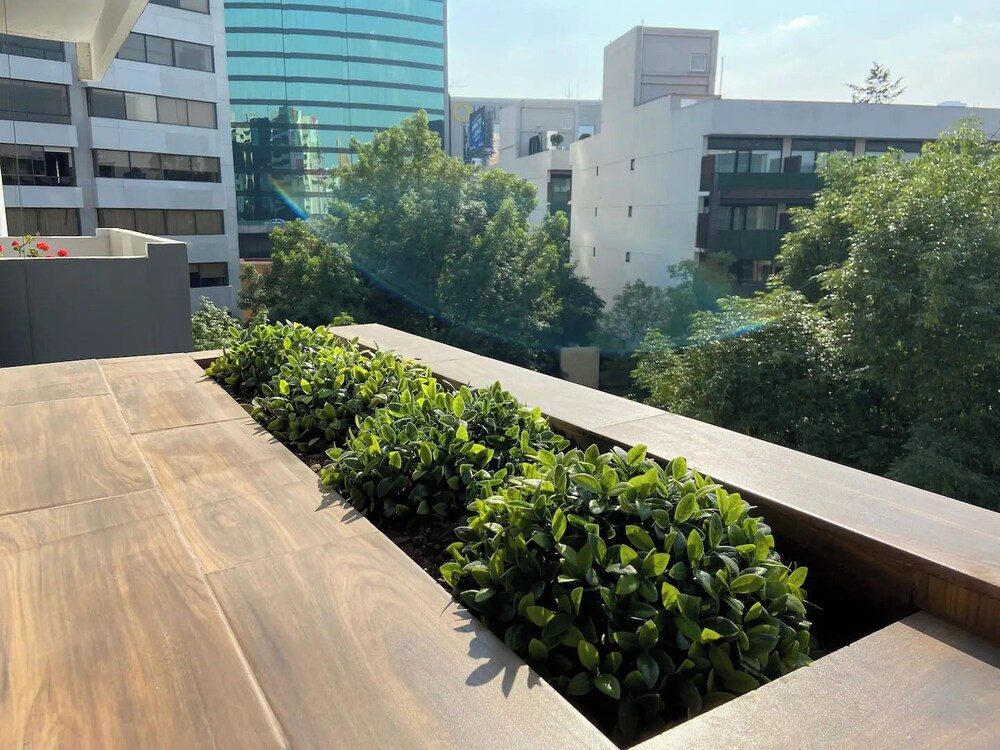 Chic Apts in Polanco Steps from Masaryk