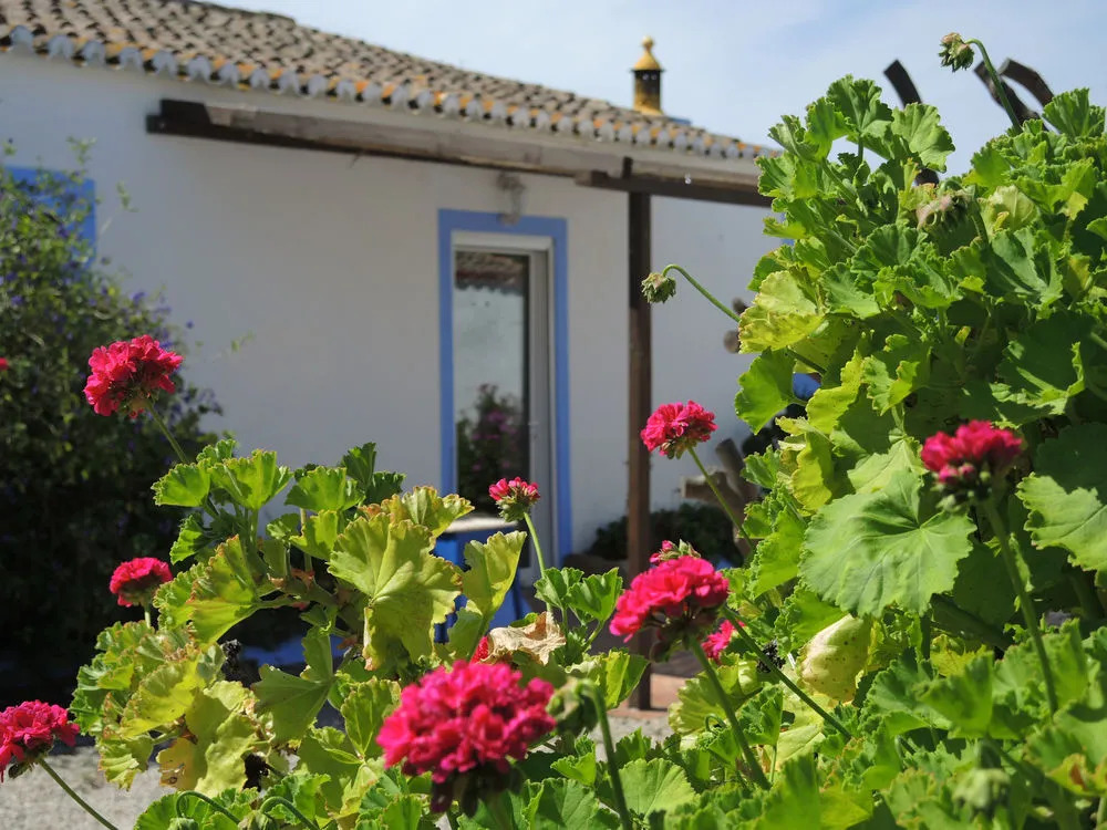 Quinta da Fornalha - Santuario Agroecologico