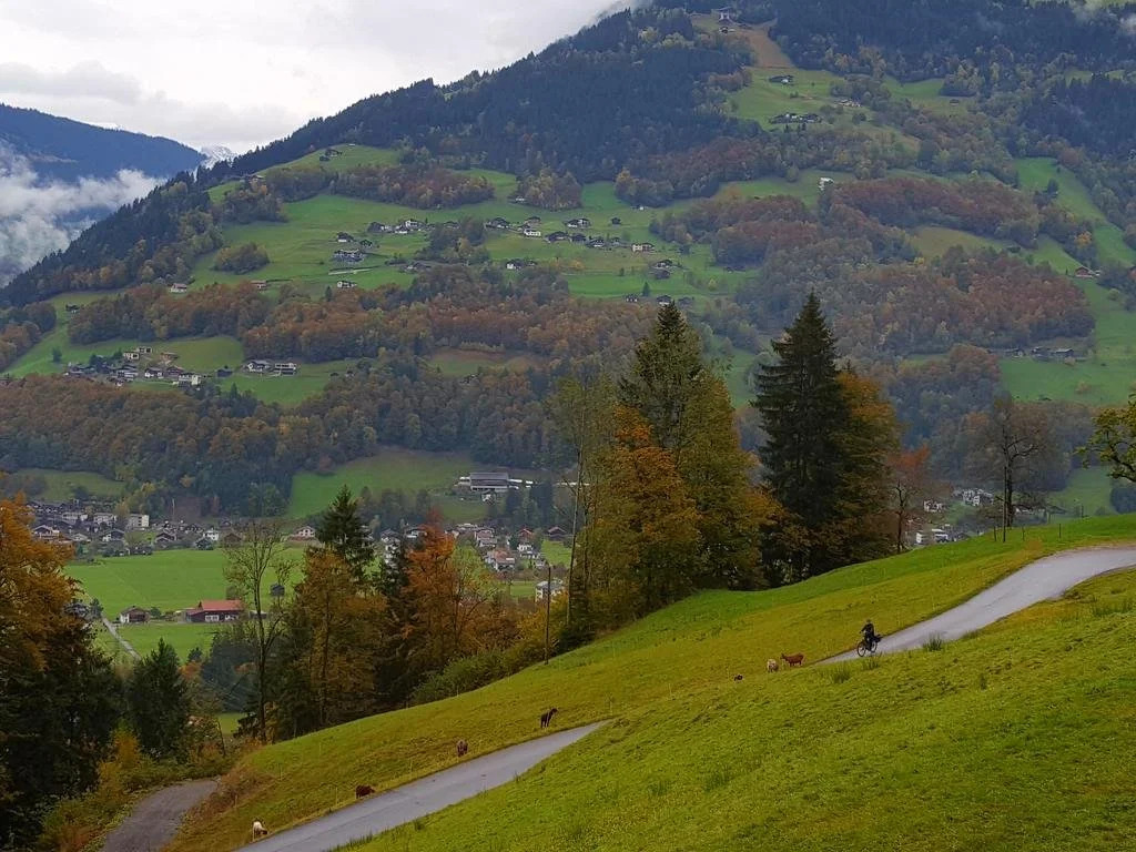 Chalet Mariedl