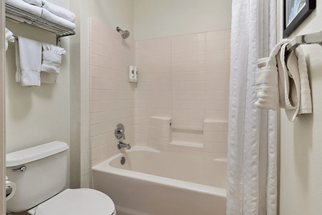 Comfort Inn & Suites Sequoia Kings Canyon