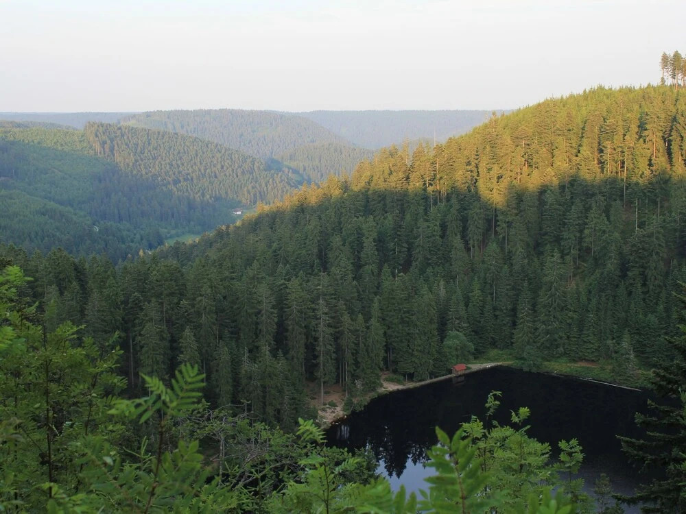 Quietly Situated Apartment With Balcony in the Black Forest