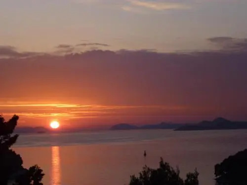 Apartments Red Coral Cavtat