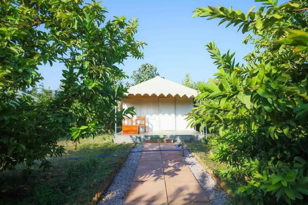 Ranthambore Tiger Resort
