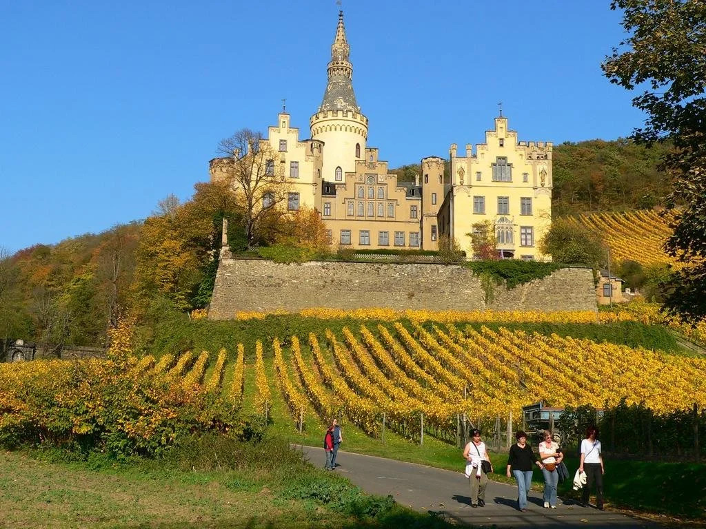 Zur Rheinschanz