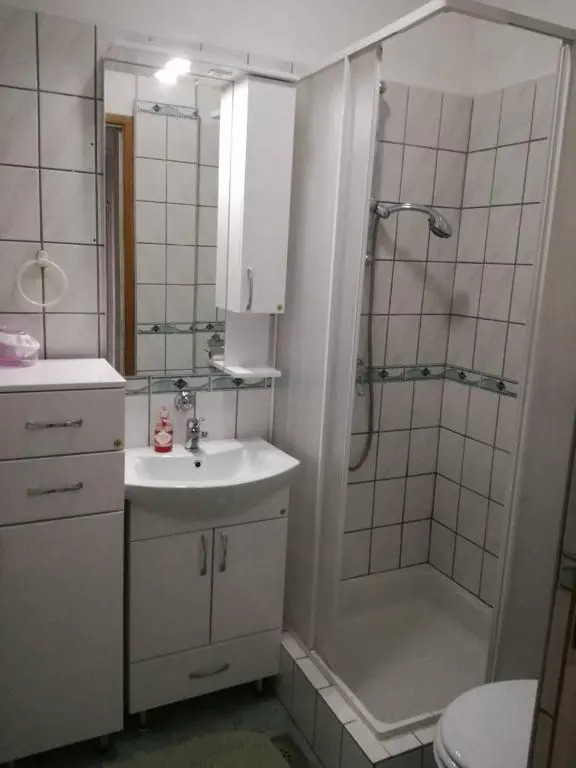 Prenociste Orhideja
