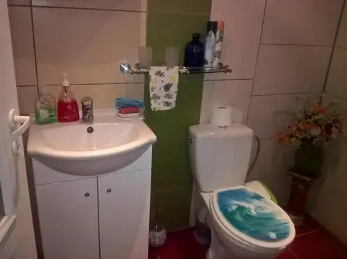 Family house Roja
