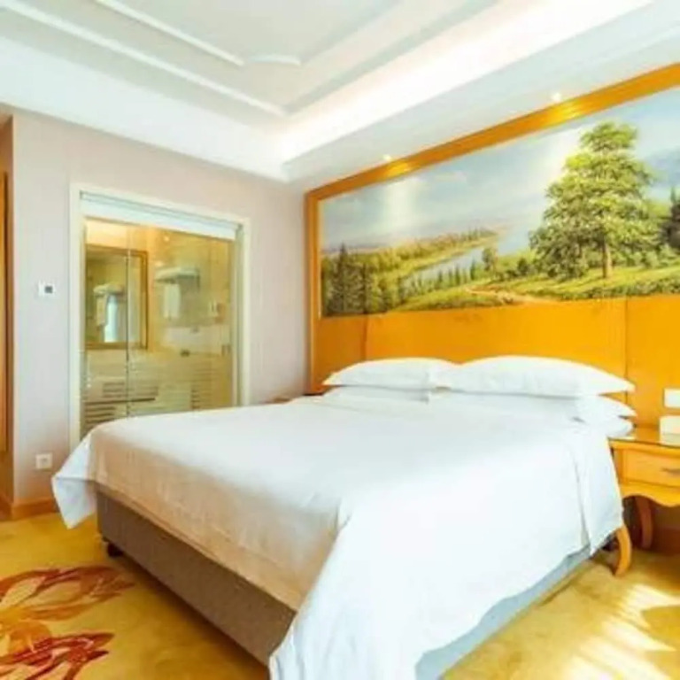 Vienna International Hotel Changsha Lu Gu Branch