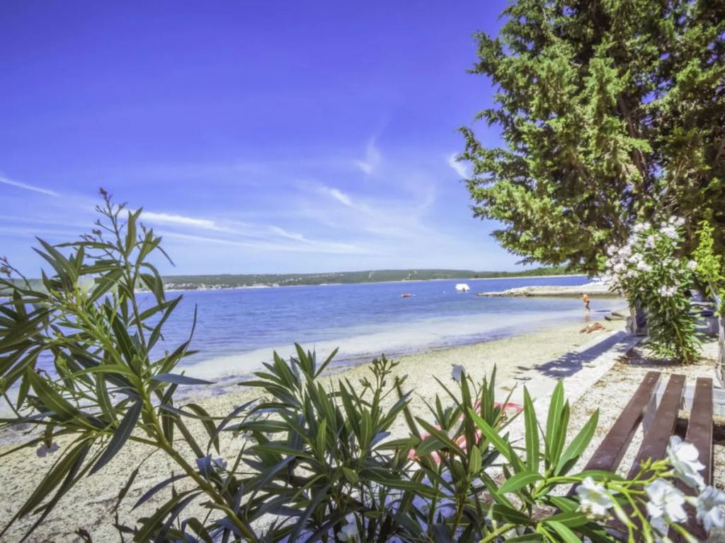 Apartment Amadea Novigrad (Zadar) 41664