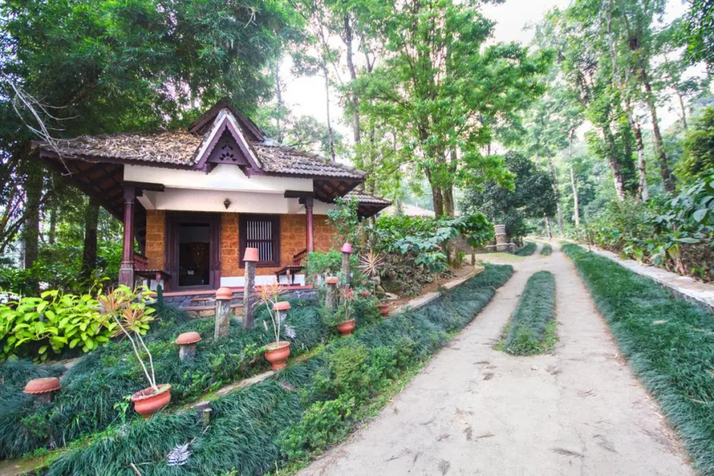 Misty Woods Resort
