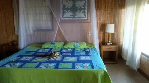 Miki Miki Lodge