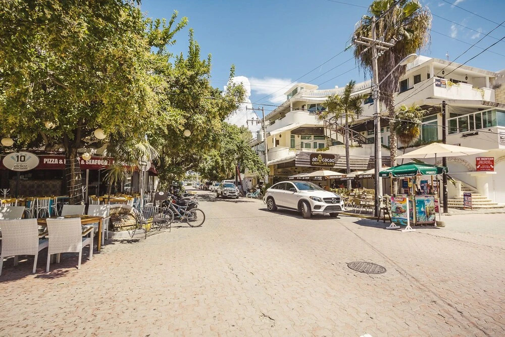 Downtown 5th Avenue Dalia 2