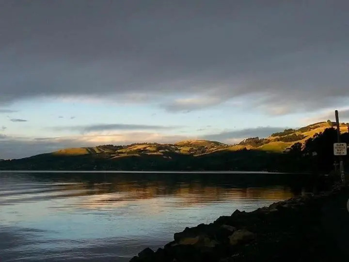 Otago Peninsula Paradise