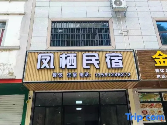 Daxin Fengqi Homestay