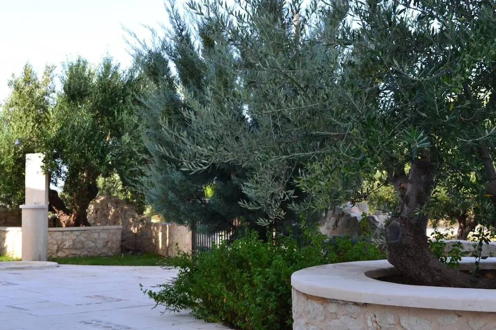 Olive Coast Suites