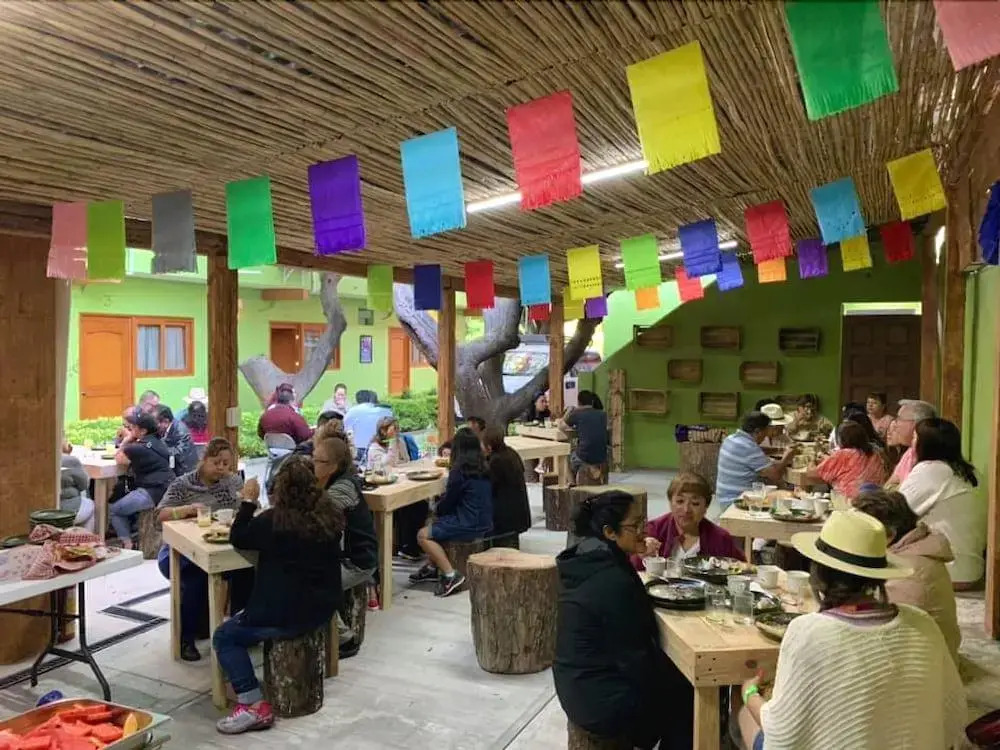 Los Ciruelos Oaxaca