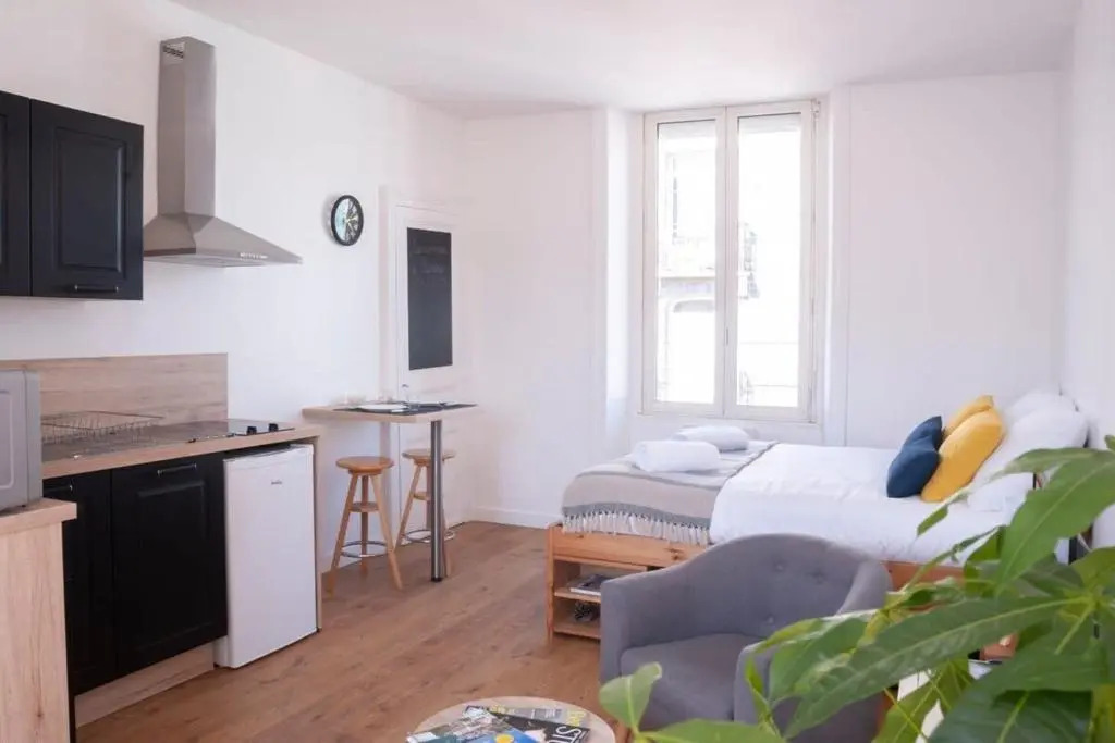 Le Saint-Etienne Studio Moderne Et Lumineux