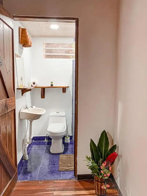 Cabinas Montesol