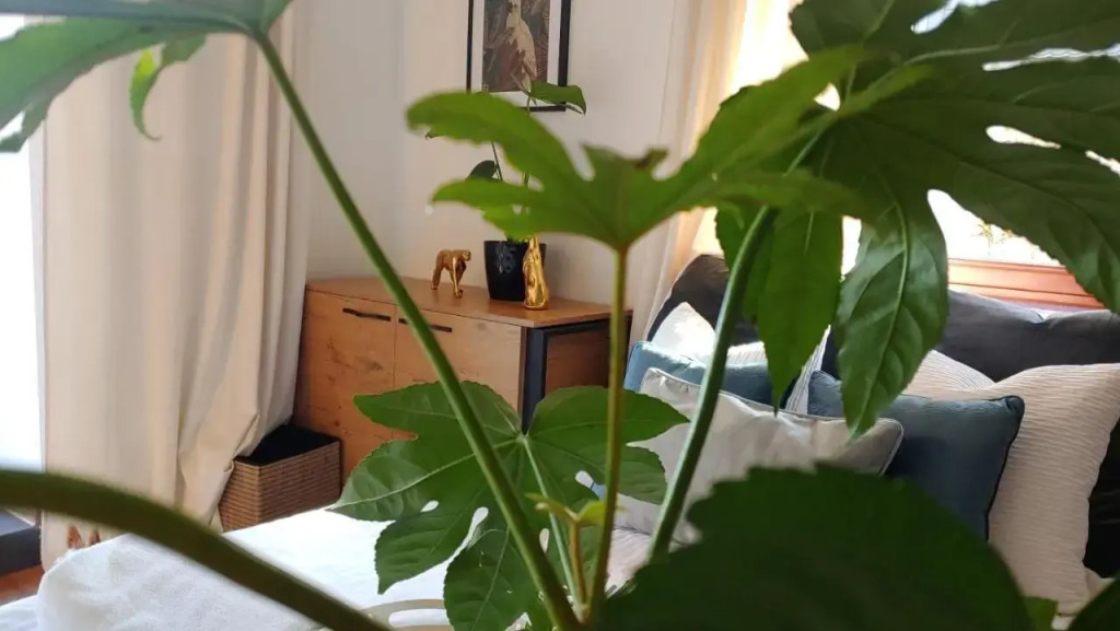 Apartament Dolce Vita Koscielisko Resort