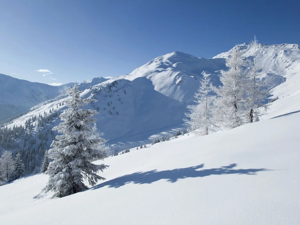 Cozy Couple or Group Chalet in Fgenberg Near Ski Slopes