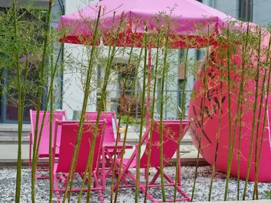 Banshan Qi Homestay