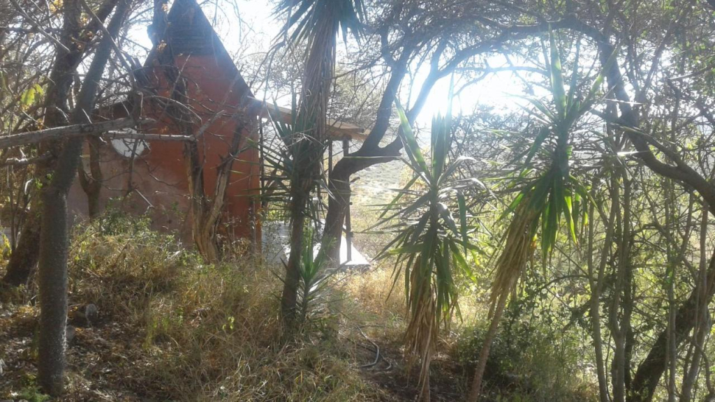Lentswe Lodge