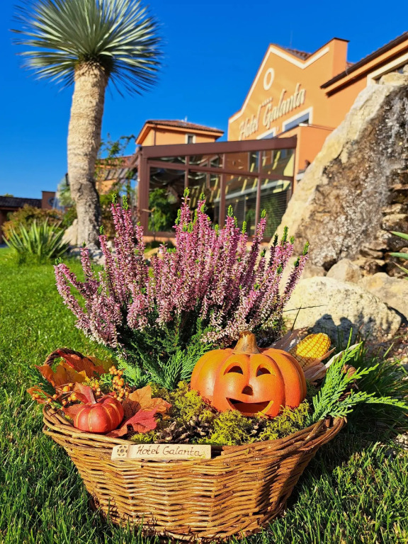 Hotel Galanta