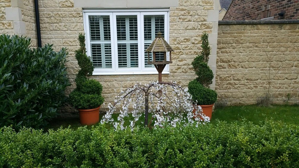 Park View House Bed & Breakfast