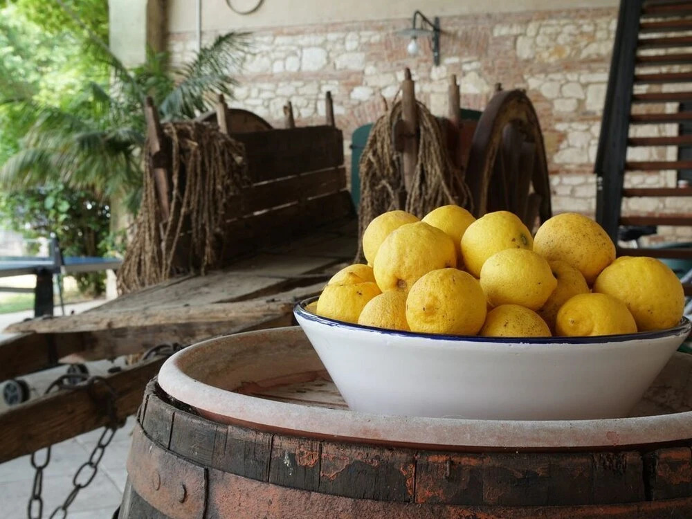 Palazzo Rosso Farm