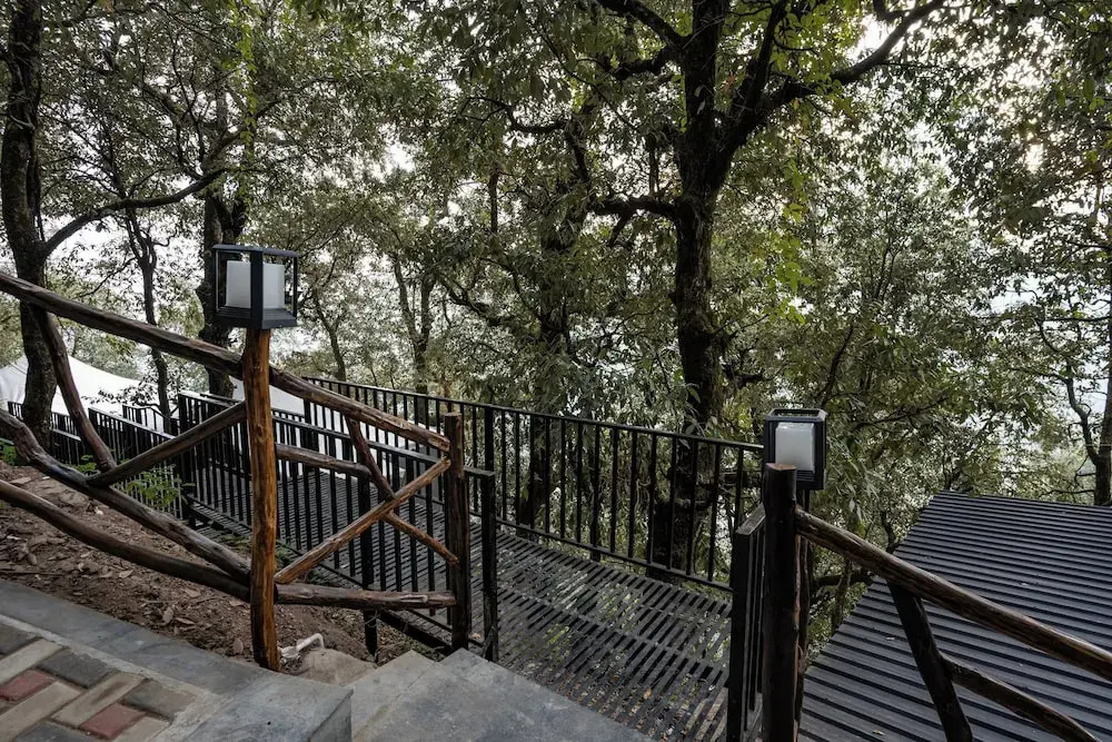 The Whispering Oaks