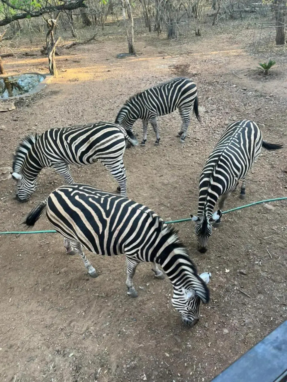 Ukweza Guest House