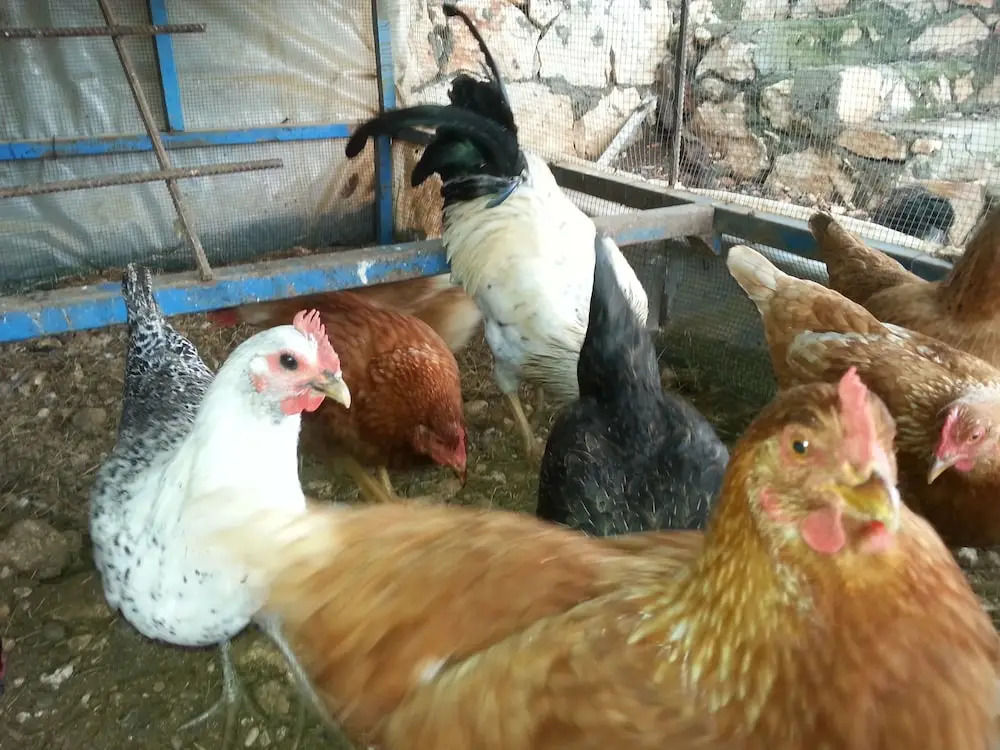 Beymelek Tas Evler