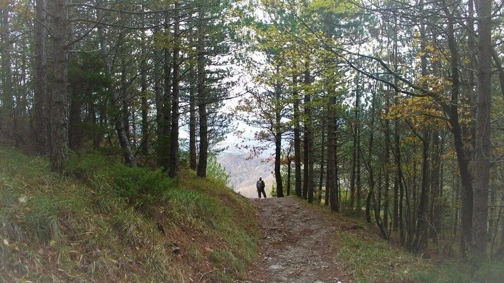 il Sentiero Lorica B&B