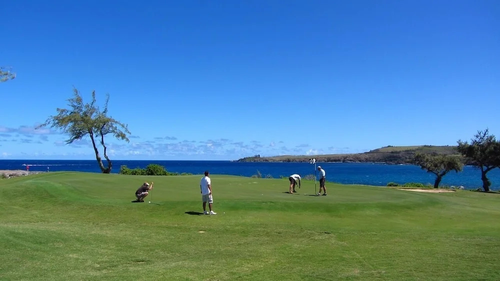 Kapalua Bay Villa 22g2 Gold Ocean Front
