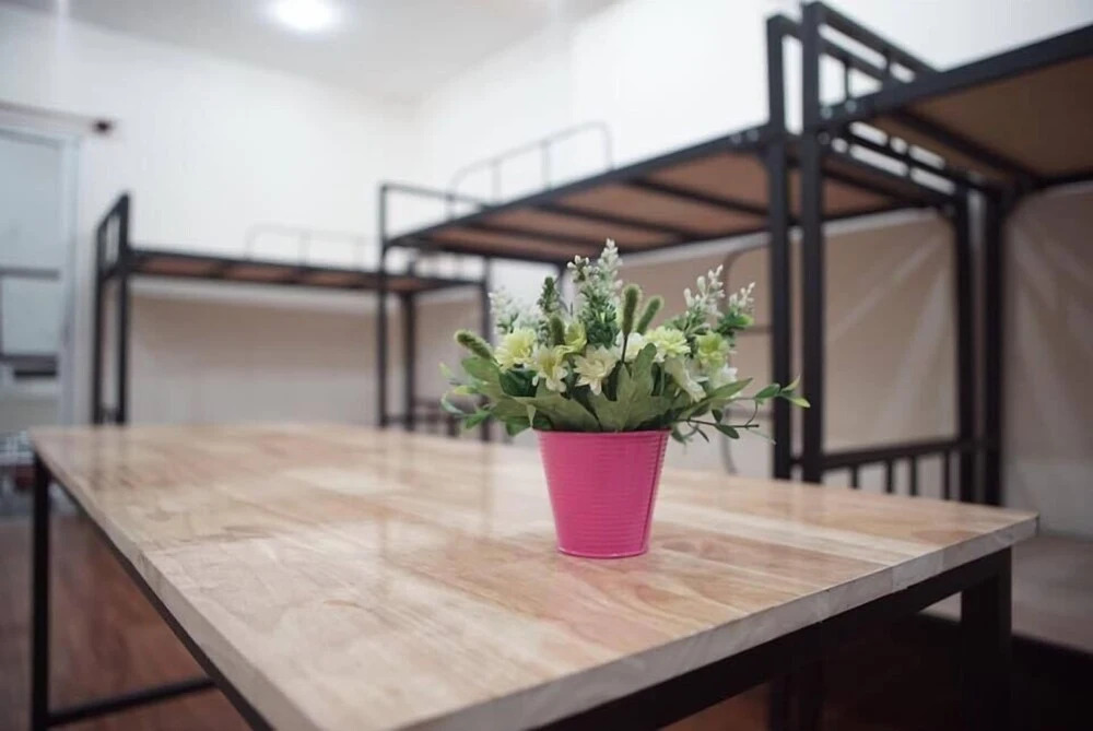 Dreambox Oxeraak Tan Binh - Hostel