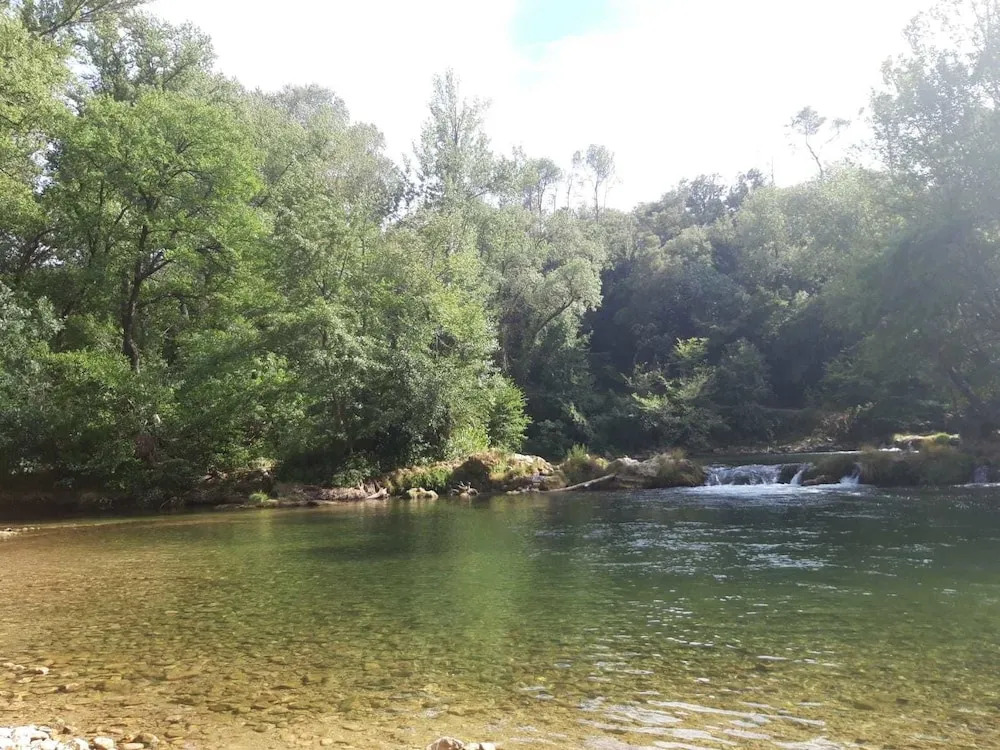 La Pinède