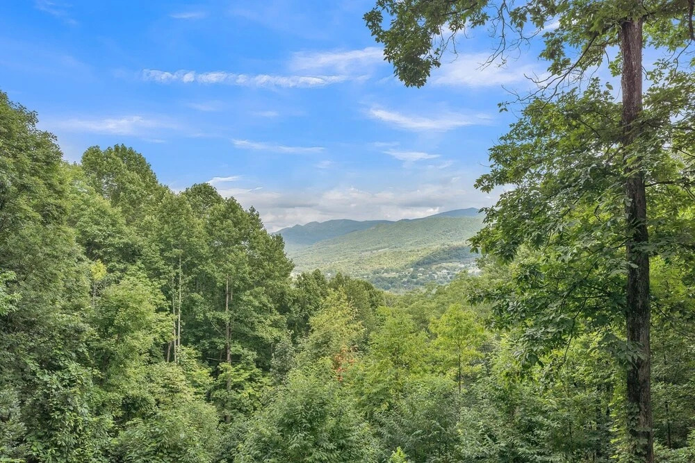 Blue Ridge Lookout Beautiful Modern Cabin - Nature Hikes And Pets Ok 4 Bedroom Cabin by RedAwning