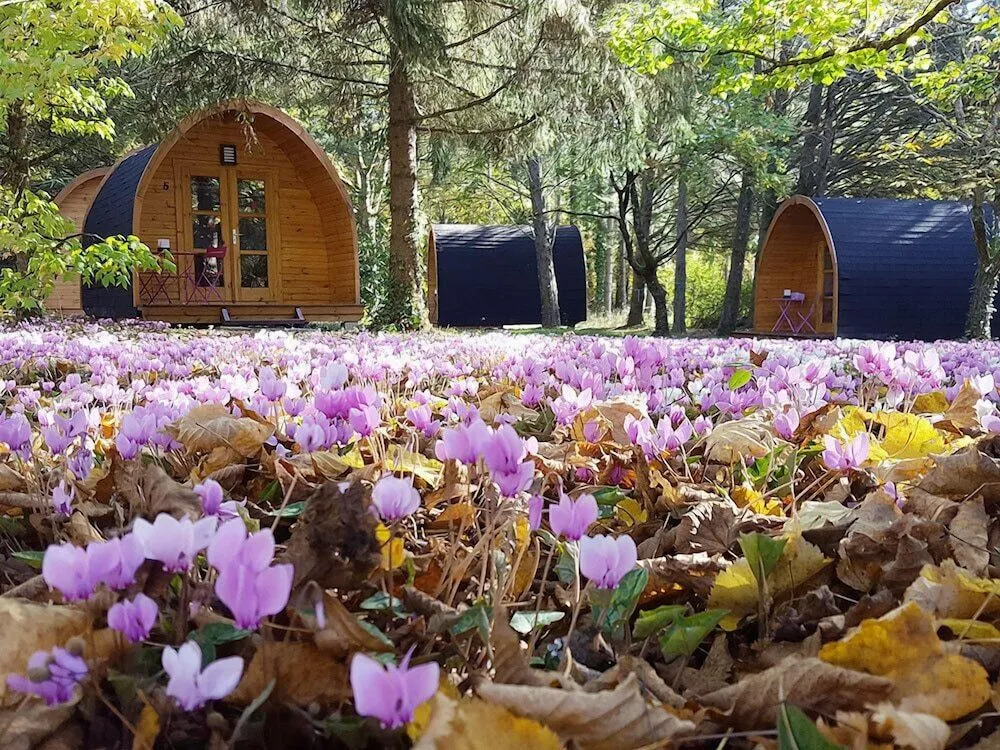 La Rossignolerie - POD Cabanes des châteaux